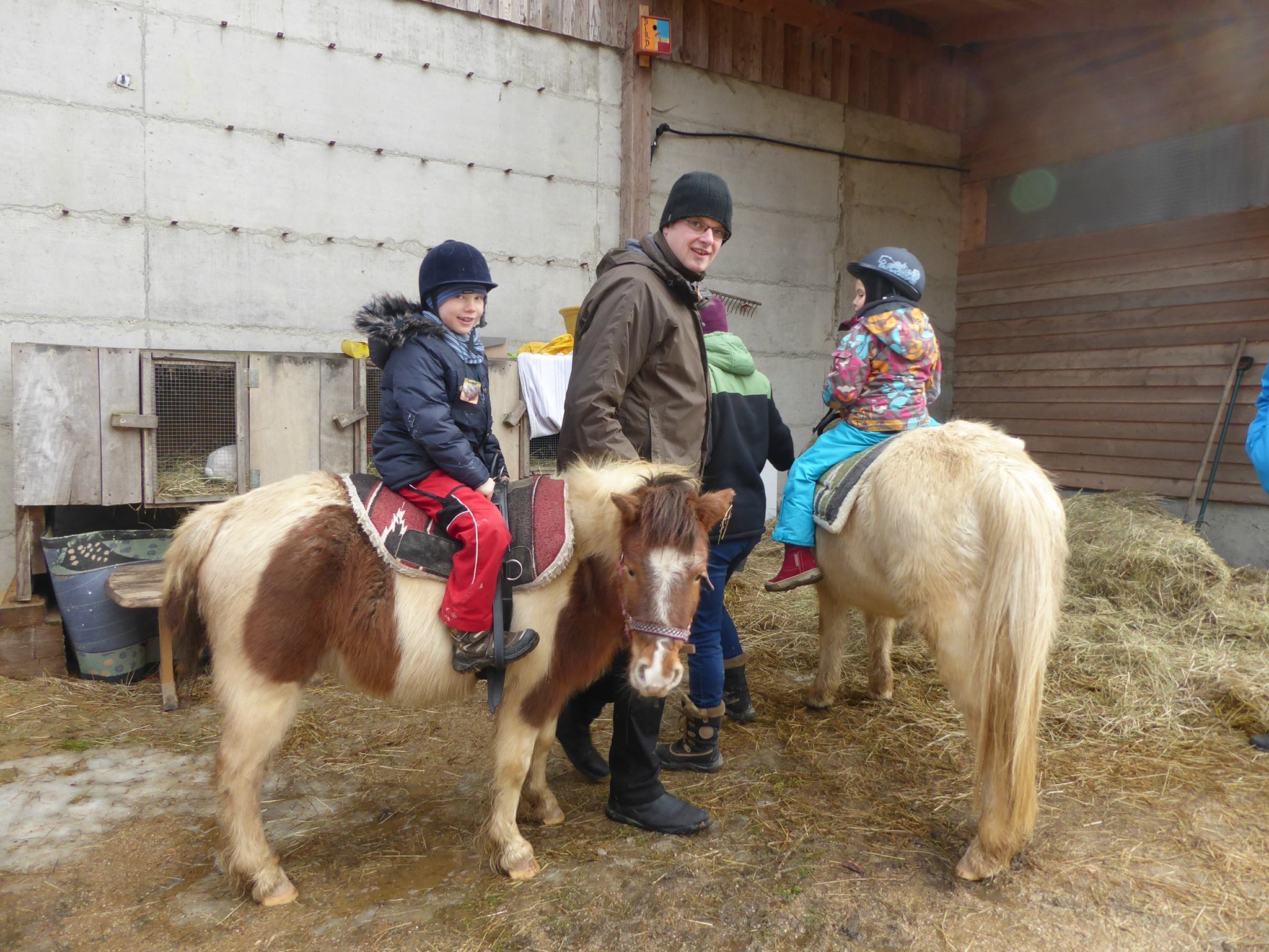 Zu Besuch am Pony Hof